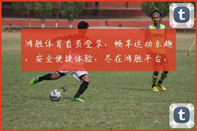 鸿胜体育首页登录，畅享运动乐趣，安全便捷体验，尽在鸿胜平台，登录即享优惠