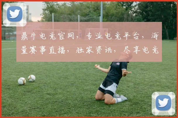 鼎牛电竞官网，专业电竞平台，海量赛事直播，独家资讯，尽享电竞乐趣，快来加入我们