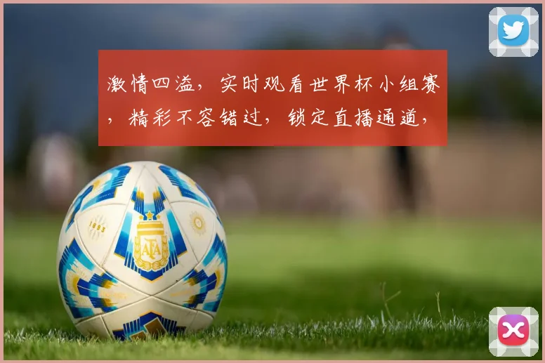 激情四溢，实时观看世界杯小组赛，精彩不容错过，锁定直播通道，共赴足球盛宴